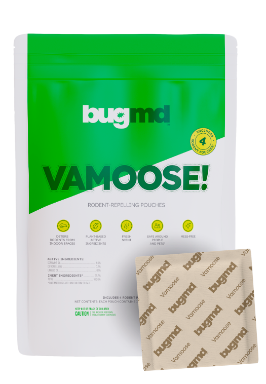 Vamoose Shp